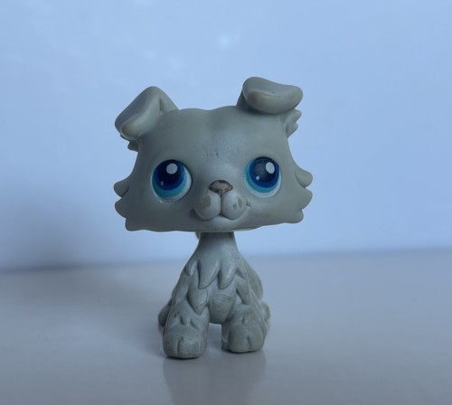 Authentic littlest pet shop - authentic,