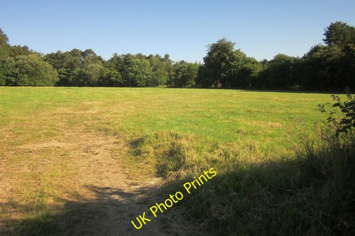 Photo 6x4 field - field, devon