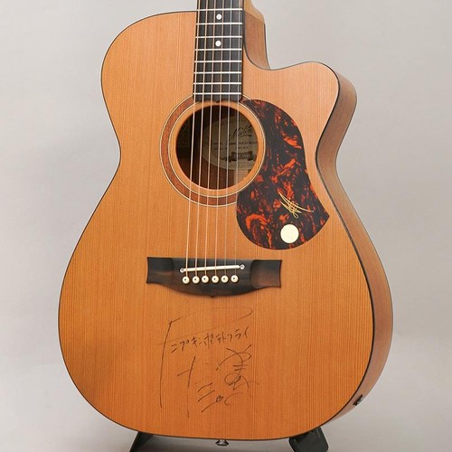 Maton srs808c - srs808c, top)