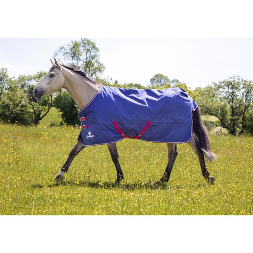 Shires tempest original air - shires,