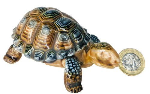 Ornament turtle tortoise - ornament,