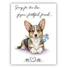Cardigan welsh corgi sympathy - welsh,
