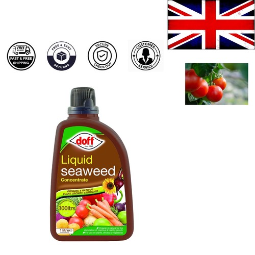 Liquid seaweed concentrate - liquid,