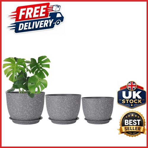 3pcs grey plant - plant, pots