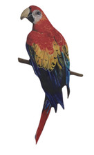 Scarlet Macaw Magnet - Scarlet
