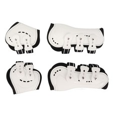 White M Horse Front Tendon