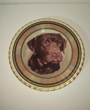 Chocolate Labrador Plate, Home