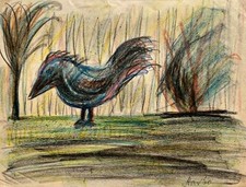 HARRY ROSENGRAVE AUSTRALIAN