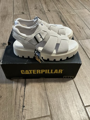 Caterpillar rigor - caterpillar, (cats)