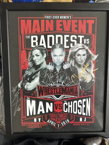 Wrestlemania main event - main,
