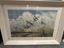 Peter Scott 'Taking to Wing'