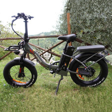 20" Electric Bike 48V Fat Tire