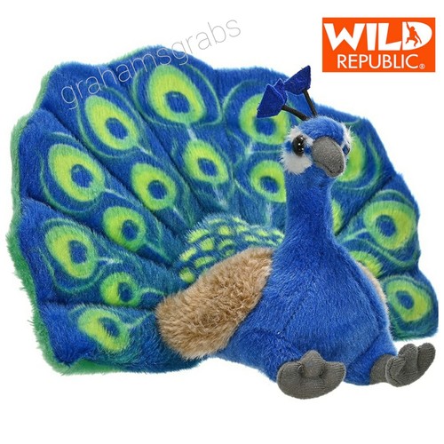 Wild republic peacock - republic,