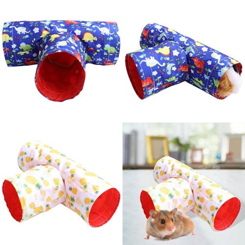 Pet guinea pig tunnels - guinea,
