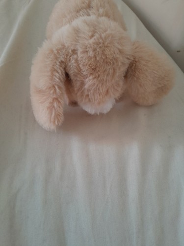 Furreal newborns brown lop - ***furreal,