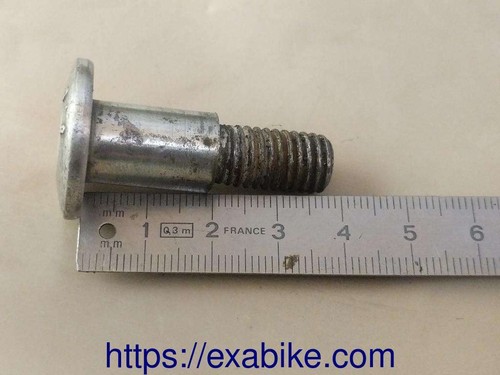 Special screw for ducati - for,