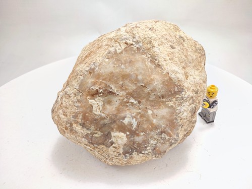 Unopened geode rattler - unopened,