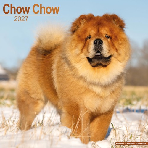 Chow 2027 calendar - 2027,