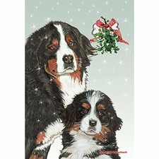 Bernese Mountain Dog and Pup