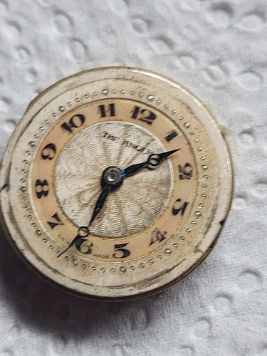 Antique the angus - ,