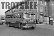 35mm Negative Felix Bedford