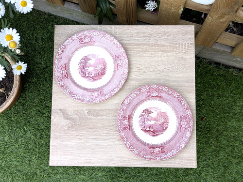 Pair royal staffordshire - of,