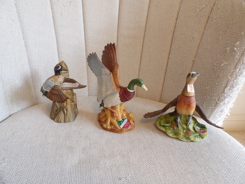 Ski country ducks - 3, unlimited