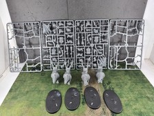 Mournfang Pack Warhammer age