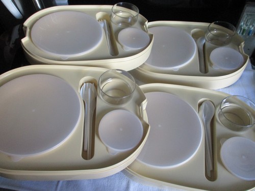Insulex tray box picnic set - insulex,