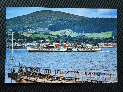 12x8 print paddle steamer - print,
