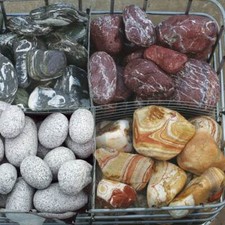 Quad Garden Landscaping &