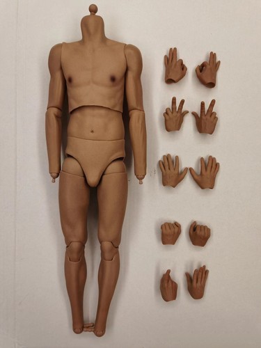 Sport muscular male - 1/6,