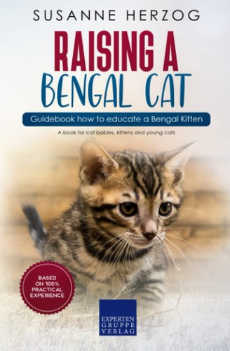 Raising bengal cat - cat, –