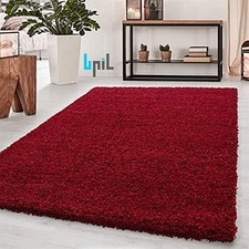 Fluffy Rugs Anti-Slip Large