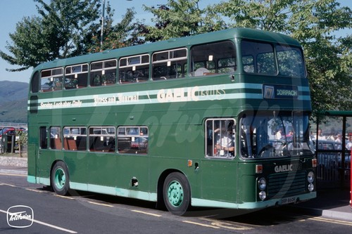 Bus photo gaelic rrp860r - bus,