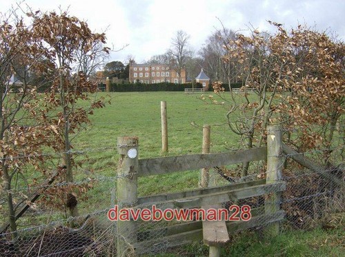 Photo cane end house - photo,