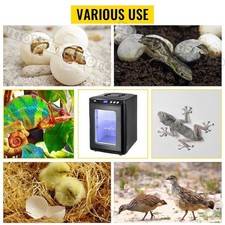 Set 25L Automatic Reptile
