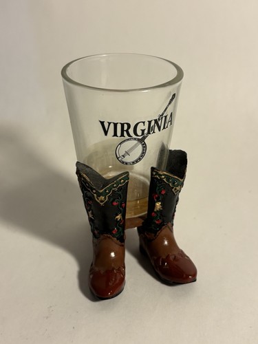 2014 virginia state banjo shot - 2014,