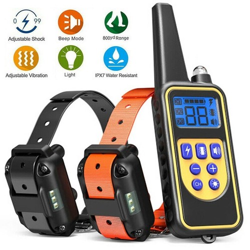 Dog training shock collar - dog,