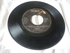 Menudo USA pop 7" If You're Not Here Thats What You Do plays VG/GOOD+ RCA