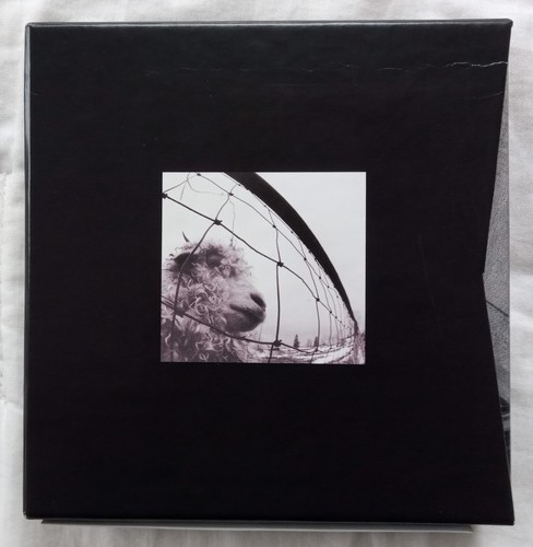 Pearl jam vitalogy 1993 - pearl, 1993-
