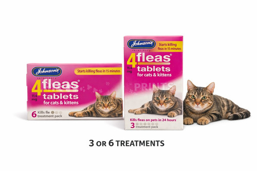Johnsons veterinary cat kitten - veterinary,