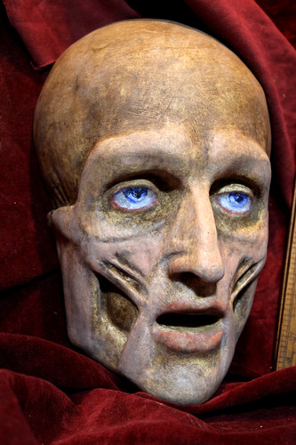 Anatomical death mask cabinet - anatomical,