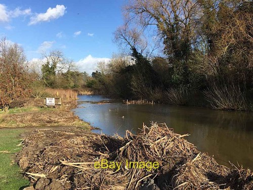 Photo 6x4 pond clearance - photo,