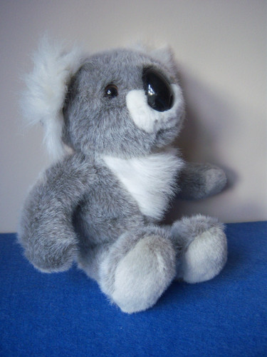 Australian koala bear - , soft