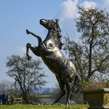 Life-Size Rearing Horse