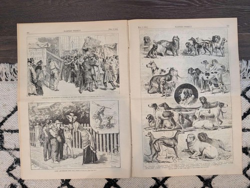 1881 nast nyc dog show - 1881,