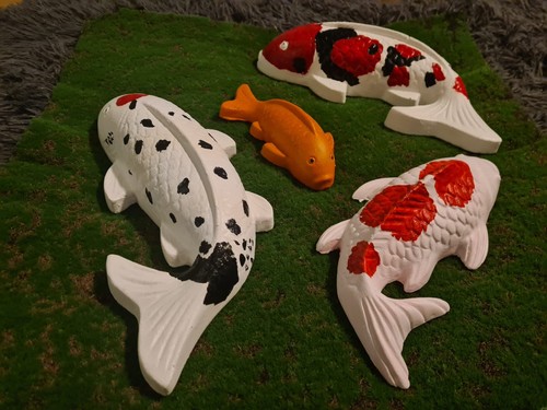 Koi carp fish hand - koi,