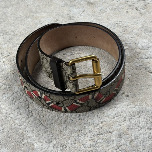 Gucci supreme snake belt - gg,