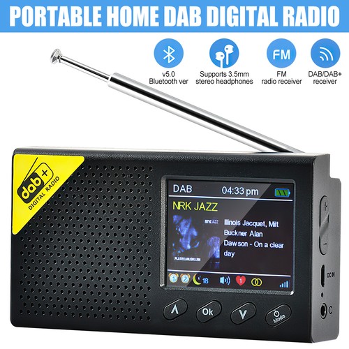 Portable dab - portable,